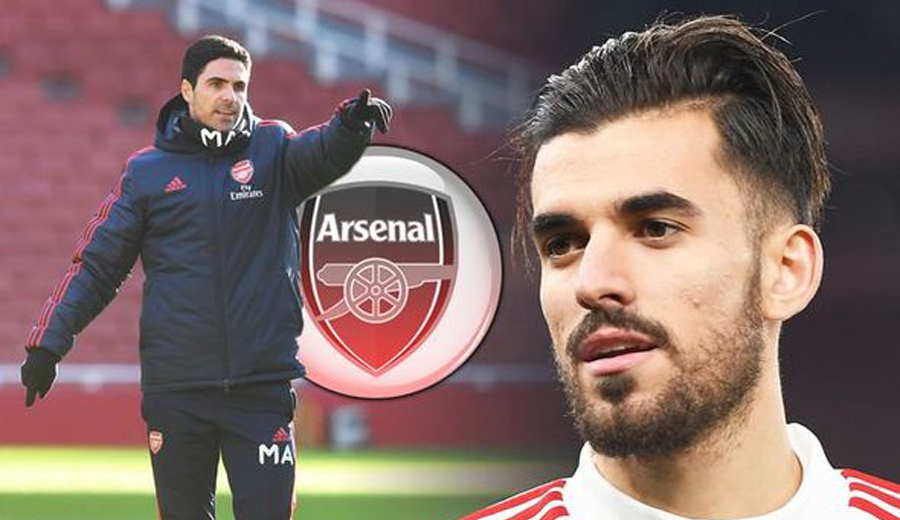 Vì Ceballos, Arteta phải qua mặt sếp lớn của Arsenal