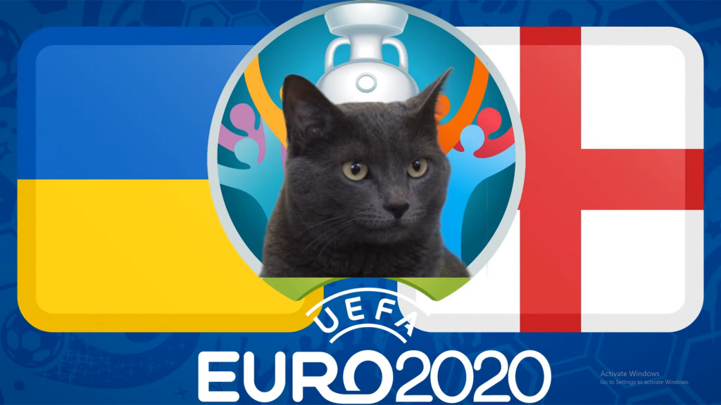 Dự đoán Euro 2020 cùng mèo tiên tri: Ukraine vs Anh, 2h00 ngày 4/7