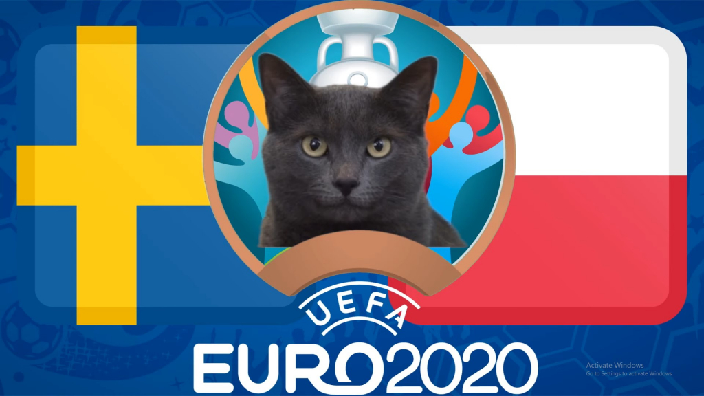 Dự đoán Euro cùng mèo tiên tri: Thụy Điển vs Ba Lan, 23h00 ngày 23/6