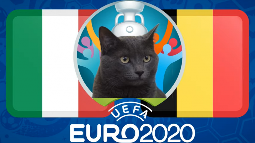 Dự đoán EURO cùng mèo tiên tri Cass: Bỉ vs Ý, 2h00 ngày 3/7