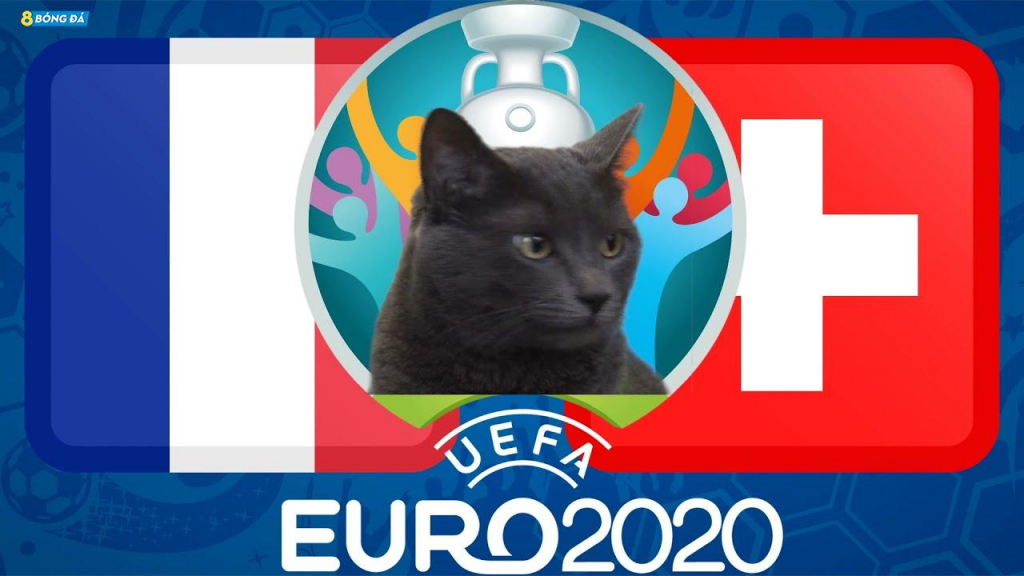 Dự Đoán EURO cùng mèo tiên tri Cass: Pháp vs Thụy Sĩ, 2h00 ngày 29/6
