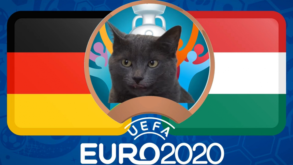 Dự đoán Euro cùng mèo tiên tri: Đức vs Hungary, 2h00 ngày 24/6