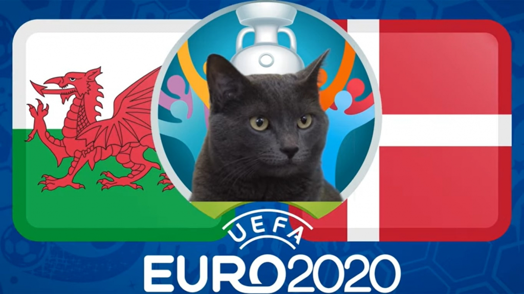  Dự đoán EURO cùng mèo tiên tri Cass: Wales vs Đan Mạch, 23h00 ngày 26/6
