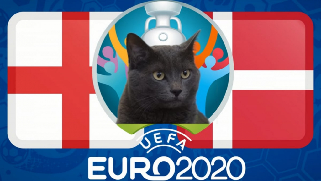 Dự đoán EURO cùng mèo tiên tri Cass: Anh vs Đan Mạch, 2h00 ngày 8/7
