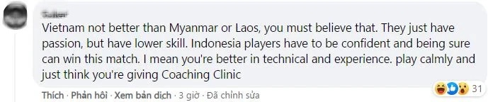 Fan Indonesia: ĐT Việt Nam không hơn gì Lào, cầu thủ cũng chơi bóng bạo lực không kém Indonesia - Ảnh 5.