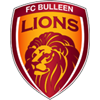 FC Bulleen Lions 