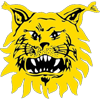 Tampereen Ilves nữ