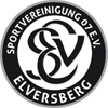 SpVgg Elversberg II 