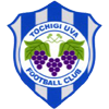 Tochigi Uva FC 