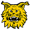 Tampereen Ilves 2 