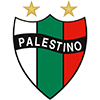 CD Palestino 