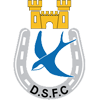 Dungannon Swifts FC 