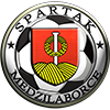 MSK Spartak Medzilaborce 