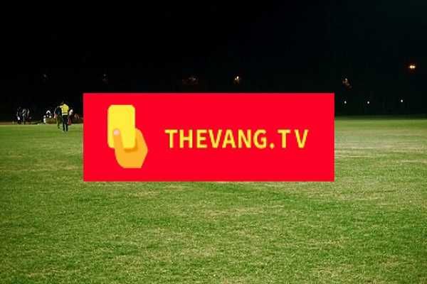 Thevang tv – xem trực tiếp bóng đá HD, tốc độ cao